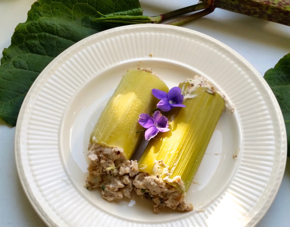 Bestand:Japanse duizendknoop canneloni.jpg
