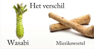 Bestand:Wasabi.jpg