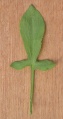 Miniatuurafbeelding voor de versie van 20 feb 2021 10:47