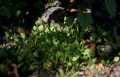 Miniatuurafbeelding voor de versie van 8 apr 2011 17:24