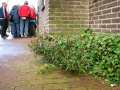 Miniatuurafbeelding voor de versie van 30 jan 2019 09:28