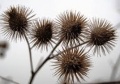 Miniatuurafbeelding voor de versie van 11 nov 2020 11:17
