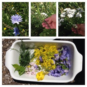 wilde bloemen Cichorei (paars) Duizendblad (wit) en Theunisbloem en Koolzaad (geel)